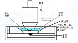 1600311209264464.jpg fushiyuanlitu.jpg